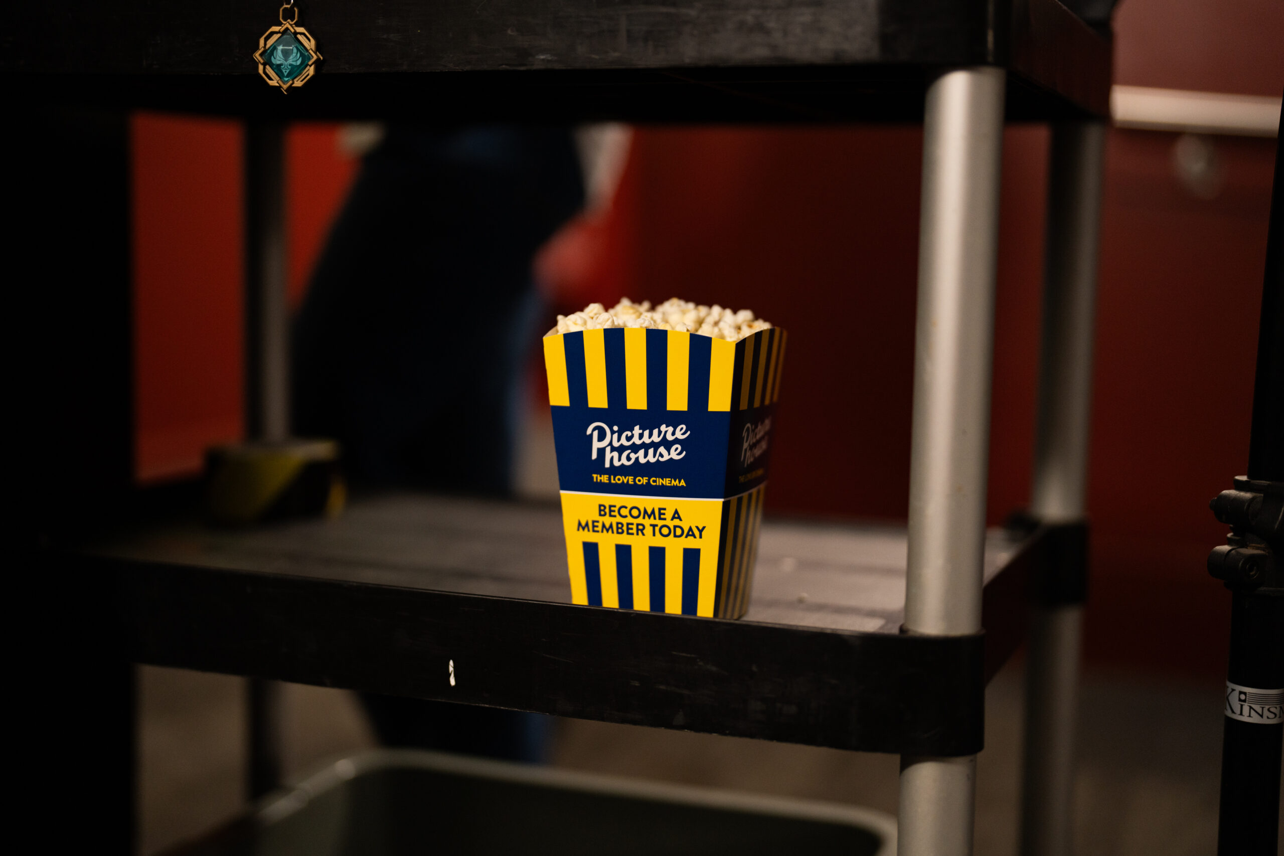 Chattaca: Discussing Sci-Fi and ‘Sci-Fact’ at the Cambridge Festival